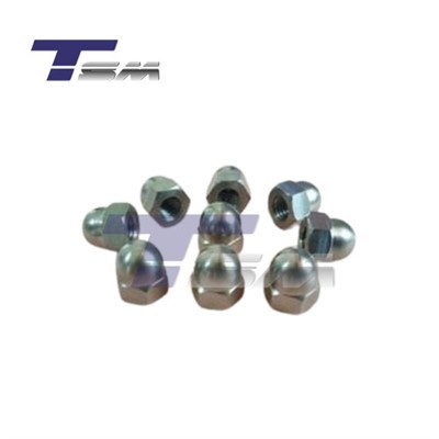 DIN1587 Titanium Hex Domed Cap Nuts