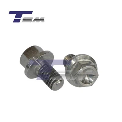 Titanium Bolt