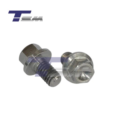Titanium Bolt