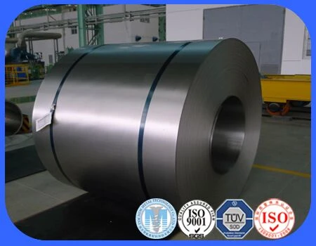 Titanium Plate Coils Stock for Sale